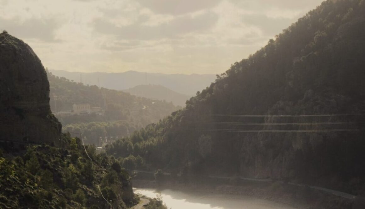 Jakie są najlepsze polskie filmy obyczajowe dla młodego widza