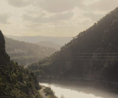 Filmy przygodowe - jak uczyć dzieci odwagi i ciekawości świata