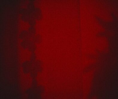 Jak przygotować młodych widzów na seanse kina artystycznego