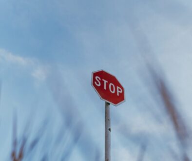 Jakie są techniki animacji poklatkowej, które możesz wypróbować w domu